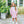 Scarlett Dress- Light Pink Stripe/Mint