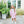 Scarlett Dress- Light Pink Stripe/Mint