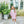 Scarlett Dress- Light Pink Stripe/Mint