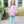 Scarlett Pant Set- Light Pink Stripe/Mint