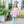 Scarlett Pant Set- Light Pink Stripe/Mint