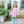 Scarlett Pant Set- Light Pink Stripe/Mint