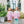 Scarlett Pant Set- Light Pink Stripe/Mint