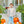Pumpkin Patch Pant Set