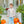 Pumpkin Patch Pant Set