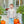 Pumpkin Patch Pant Set