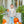 Pumpkin Patch Pant Set