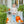 Pumpkin Patch Pant Set