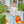 Pumpkin Patch Pant Set