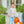 Pumpkin Patch Pant Set