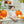 Pumpkin Patch SS Bubble