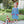 Playtime Adventures Dress