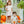 Pumpkin Patch SS Bubble