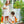 Pumpkin Patch SS Bubble