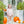 Pumpkin Patch Ruffle Bubble