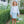 Vineyard Blooms Skort Set