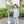 Vineyard Blooms 1/4 Zip Pullover Set