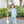 Vineyard Blooms 1/4 Zip Pullover Set