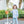 Vineyard Blooms 1/4 Zip Pullover Set