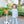 Vineyard Blooms 1/4 Zip Pullover Set