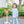 Vineyard Blooms 1/4 Zip Pullover Set