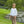 Woodland Friends French Terry Set