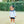 Katherine Bloomer Set- Light Blue Stripe/Navy