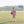 Football Shirt- Crimson