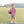 Football Shirt- Crimson