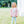 French Terry Pullover- Rainbow