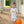 Jack O' Lantern Short Set