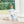 Archie Bloomer Pant Set- Light Blue