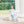 Archie Bloomer Pant Set- Light Blue