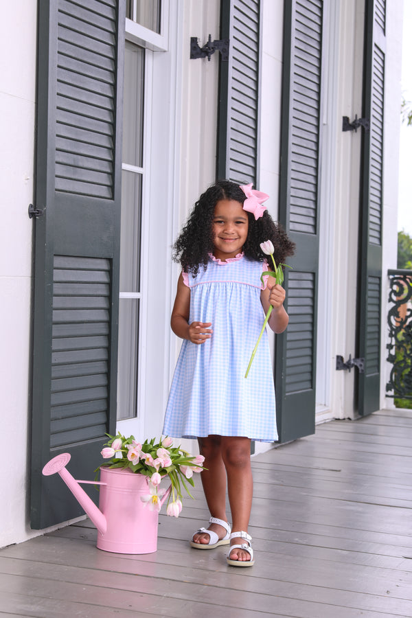 Meredith Dress- Light Blue Gingham/Light Pink