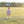Football Bubble- Purple