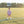 Football Bubble- Purple