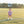 Football Bubble- Purple