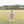 Football Bubble- Purple